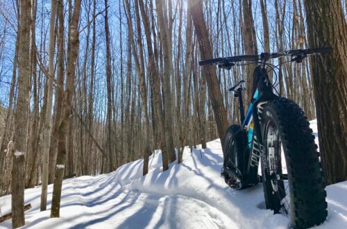 2019 FAT BIKE BIRKIE Preview!