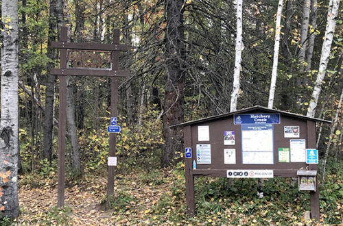 Hatchery Creek Singletrack Refurb Begins