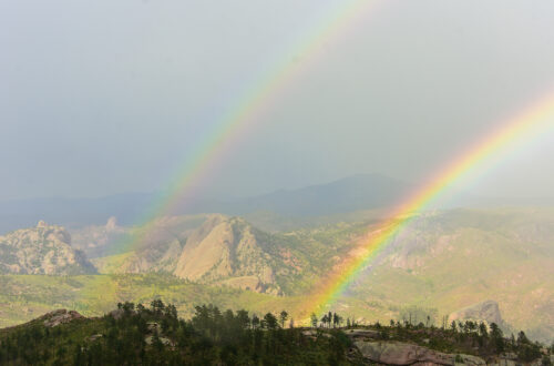 Elijah Heads West – Exploring the Colorado Trail