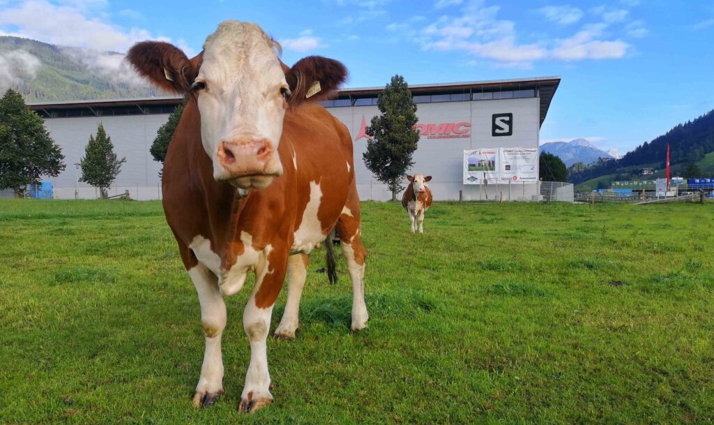 The Salomon factory in Austria.