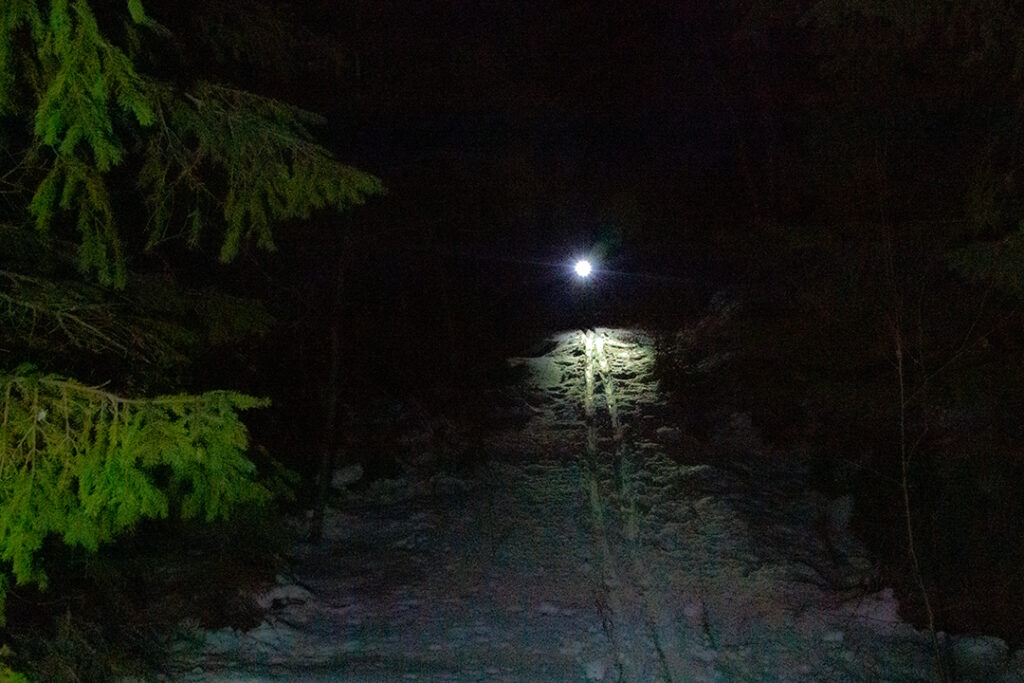 Skiing with headlamps in Sweden a day away from the winter solstice.