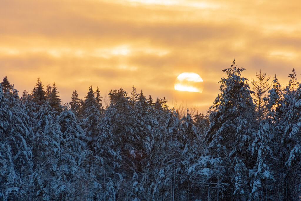 Sunset in Sweden on the solstice.