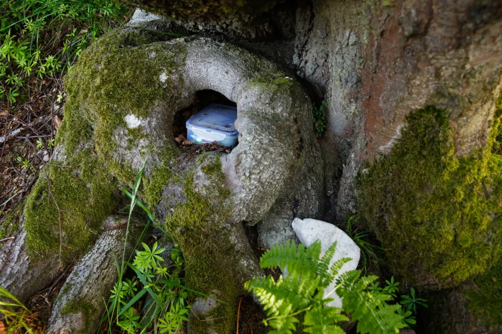 Cool natural hiding place for a geocache.