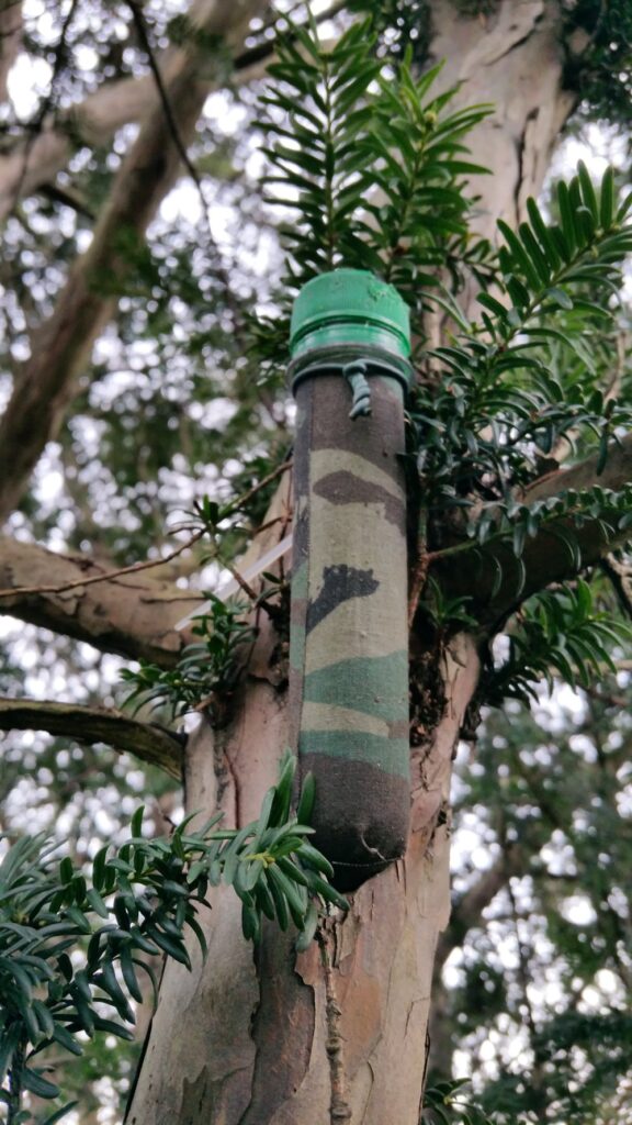 Camoflauged geocache hanging in a tree.