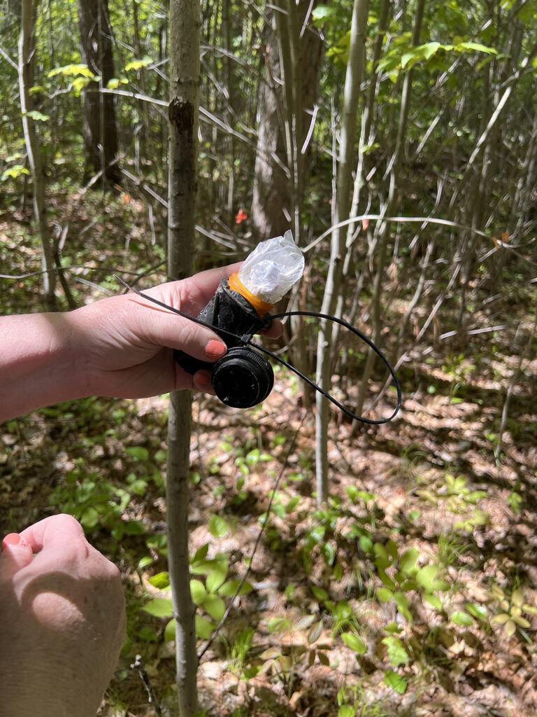 What's inside a geocache.