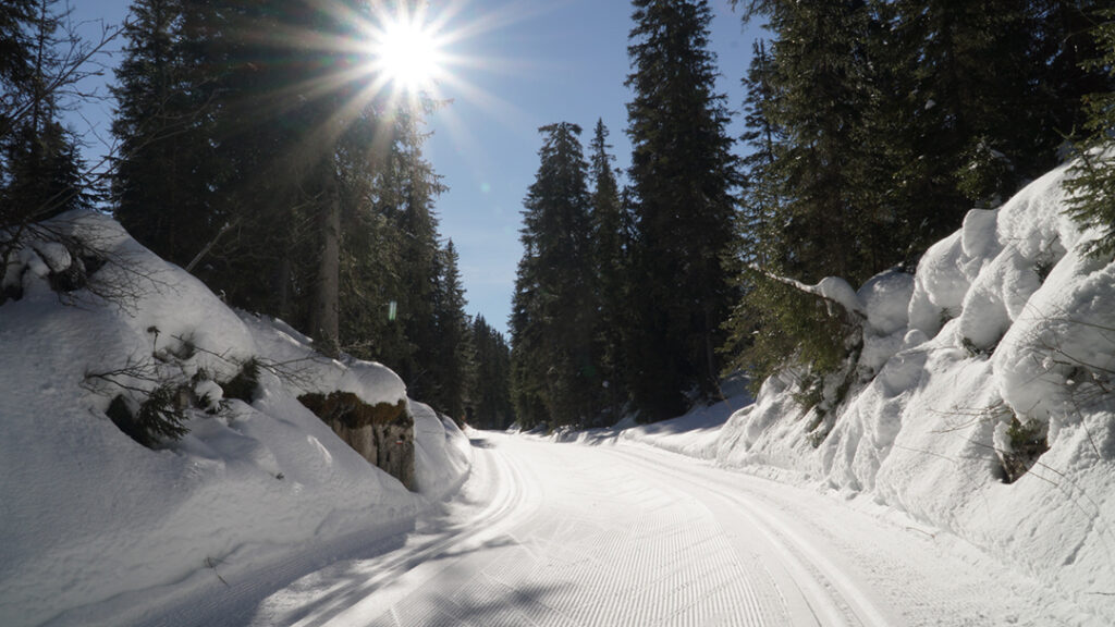 Sunshine and perfect corduroy Nordic skiing in France.