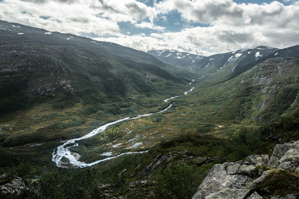 Stream view from a summit in the park