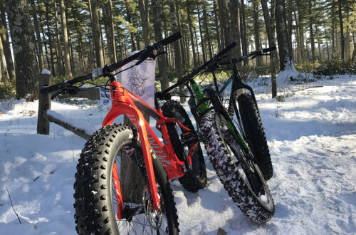 Welcome to the Golden Age of Fat Bikes