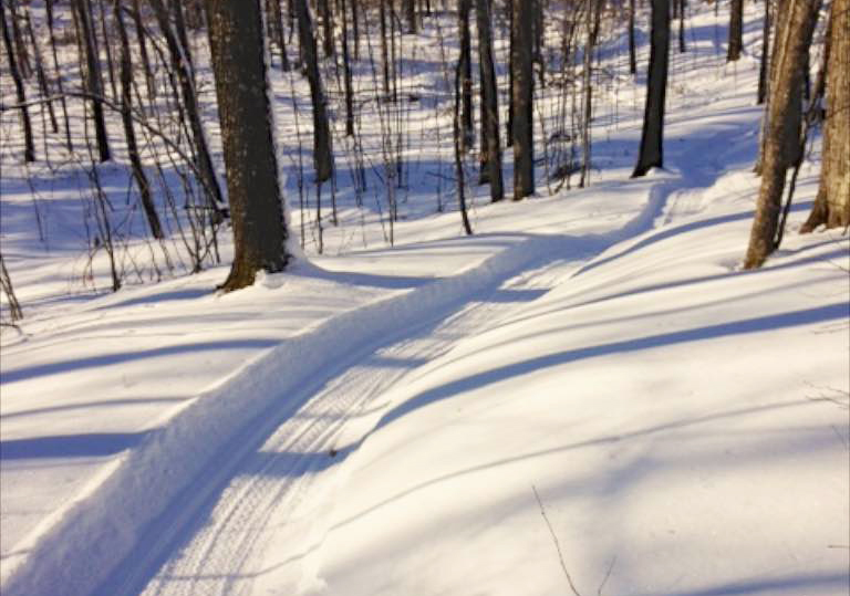 narrow fat bike trail
