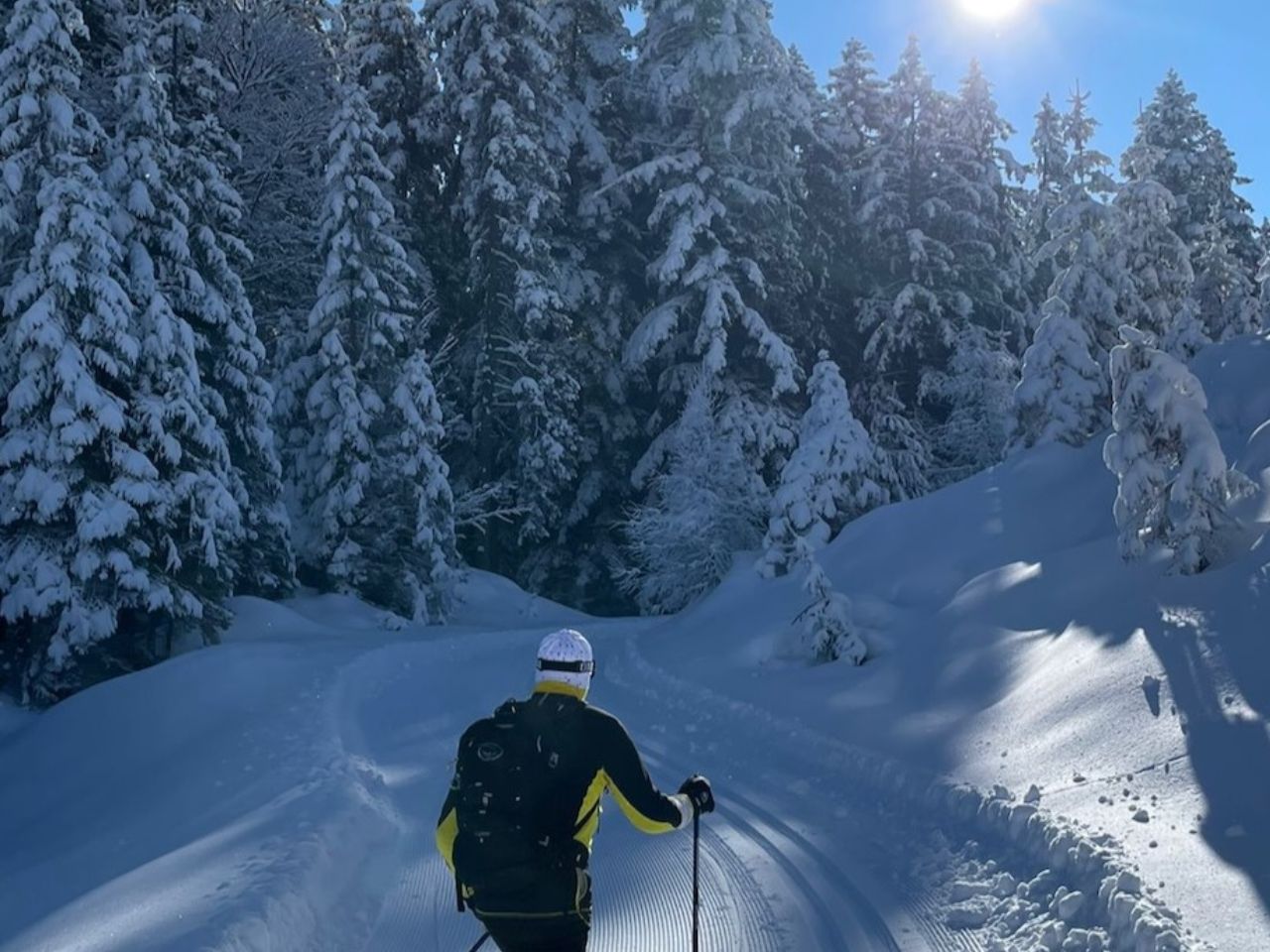 Gorgeous trail conditions in Seefeld.