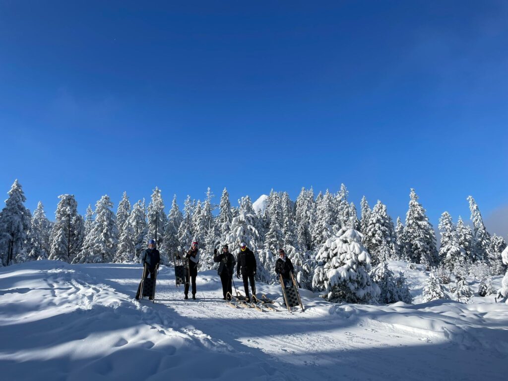 Rodeling on a snowy day in Leutasch, Austria.