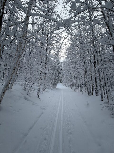 North End Ski Trail